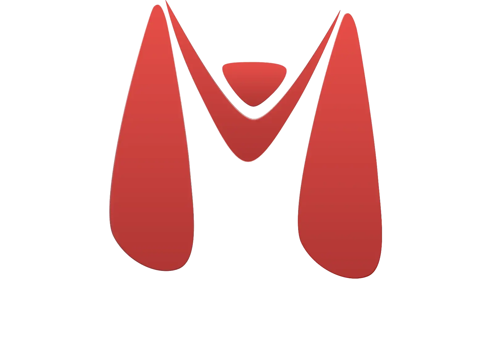 Magnum Infosystem